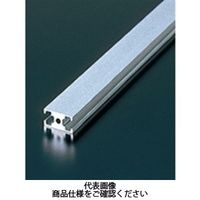 エヌアイシ・オートテック M4 ベーシックアルミフレーム 669mm AFSー1020ー4ー669 1セット(40本)（直送品）