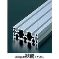 エヌアイシ・オートテック M4 ベーシックアルミフレーム 595mm AFSー2060ー4ー595 1セット(20本)（直送品）