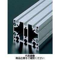 エヌアイシ・オートテック M4 ベーシックアルミフレーム 494mm AFSー4060ー4ー494 1セット(10本)（直送品）