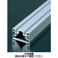 エヌアイシ・オートテック M4 ベーシックアルミフレーム 479mm AFSFー2040ー4ー479 1セット(30本)（直送品）