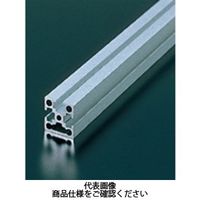 エヌアイシ・オートテック M4 ベーシックアルミフレーム 940mm AFSF-2020-4-940（直送品）