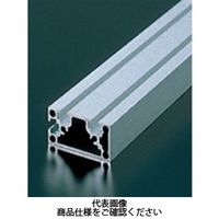 エヌアイシ・オートテック M4 ベーシックアルミフレーム 687mm AFSTー2040ー4ー687 1セット(20本)（直送品）