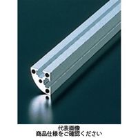 エヌアイシ・オートテック M4 ベーシックアルミフレーム 155mm AFSRー2020ー4ー155 1セット(120本)（直送品）