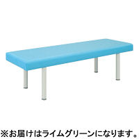 【軒先渡し】高田ベッド DXマッサージベッド TB-908 1台 23-3350-0118（直送品）