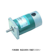 澤村電気工業 DCモータ SS60E60-HG8-100-DC12V 1個（直送品）