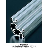 エヌアイシ・オートテック M4 ベーシックアルミフレーム 279mm AFSRー404020ー4ー279 1セット(30本)（直送品）