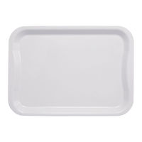 SCトレー L 橋本達之助工芸