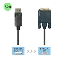 【アウトレット】Vodaview DisplayPort-DVI 変換ケーブル 3m VV-DPDV030-B 1本　【終売品】