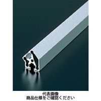 エヌアイシ・オートテック M4 ベーシックアルミフレーム 423mm AFSVー2045ー4ー423 1セット(40本)（直送品）