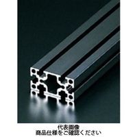 エヌアイシ・オートテック M4 ベーシックアルミフレーム ブラック 582mm AFSー2040ー4ーBKー582 1セット(20本)（直送品）