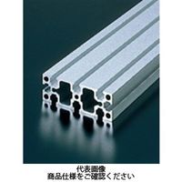 エヌアイシ・オートテック M6 ベーシックアルミフレーム 677mm AFSー3090ー6ー677 1セット(6本)（直送品）