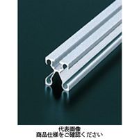 エヌアイシ・オートテック M4 取手フレーム 128mm AFXー2020ー4ー128 1セット(80本)（直送品）