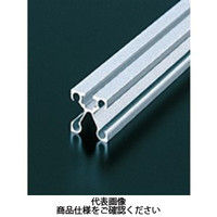 エヌアイシ・オートテック M4 取手フレーム 664mm AFXー2020ー4ー664 1セット(20本)（直送品）