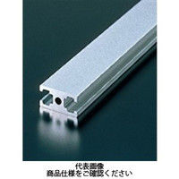 エヌアイシ・オートテック M6 ベーシックアルミフレーム 339mm AFSー1530ー6ー339 1セット(40本)（直送品）