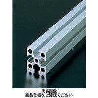 エヌアイシ・オートテック M6 ベーシックアルミフレーム 384mm AFSー3030ー6ー384 1セット(30本)（直送品）