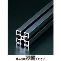 エヌアイシ・オートテック M6 ベーシックアルミフレーム 580mm AFSー3030Lー6ーBKー580 1セット(20本)（直送品）