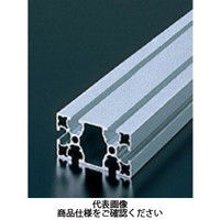 エヌアイシ・オートテック M6 ベーシックアルミフレーム 213mm AFSー3060Fー6ー213 1セット(40本)（直送品）