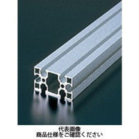 エヌアイシ・オートテック M6 ベーシックアルミフレーム 231mm AFSー3060Lー6ー231 1セット(30本)（直送品）