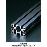 エヌアイシ・オートテック M6 ベーシックアルミフレーム 464mm AFSー3060Lー6ーBKー464 1セット(20本)（直送品）