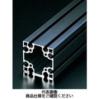 M6 ベーシックアルミフレーム ブラック 326mm AFS-6060L-6-BK-326（直送品）