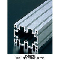 エヌアイシ・オートテック M6 ベーシックアルミフレーム 698mm AFSー6090ー6ー698 1セット(4本)（直送品）