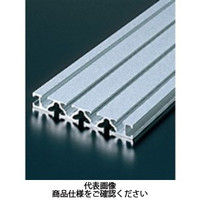 エヌアイシ・オートテック M6 ベーシックアルミフレーム 879mm AFSー15120ー6ー879 1セット(5本)（直送品）