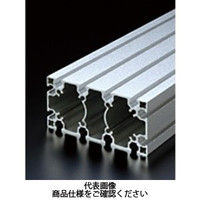 エヌアイシ・オートテック M6 ベーシックアルミフレーム 861mm AFSー60120ー6ー861 1セット(3本)（直送品）