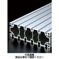 エヌアイシ・オートテック M6 ベーシックアルミフレーム 293mm AFSー60180ー6ー293 1セット(5本)（直送品）