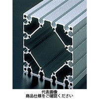 エヌアイシ・オートテック M6 ベーシックアルミフレーム 780mm AFSー120120ー6ー780 1セット(2本)（直送品）