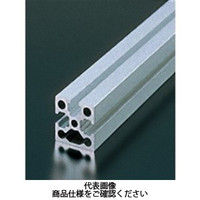 エヌアイシ・オートテック M6 ベーシックアルミフレーム 570mm AFSFー3030ー6ー570 1セット(20本)（直送品）