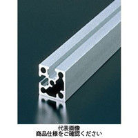 エヌアイシ・オートテック M6 ベーシックアルミフレーム 785mm AFSTー3030ー6ー785 1セット(20本)（直送品）