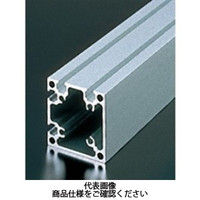 エヌアイシ・オートテック M6 ベーシックアルミフレーム 798mm AFSTー6060ー6ー798 1セット(5本)（直送品）