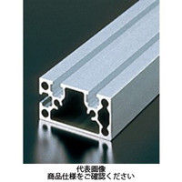 エヌアイシ・オートテック M6 ベーシックアルミフレーム 710mm AFSTー3060ー6ー710 1セット(8本)（直送品）