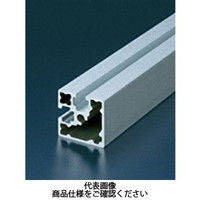 エヌアイシ・オートテック M6 ベーシックアルミフレーム 594mm AFST-3030L-6-594（直送品）