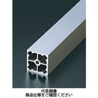 エヌアイシ・オートテック M6 ベーシックアルミフレーム 700mm AFSS-3030L-6-700（直送品）