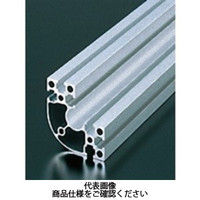 エヌアイシ・オートテック M6 ベーシックアルミフレーム 583mm AFSR-606030-6-583（直送品）