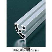 エヌアイシ・オートテック M6 ベーシックアルミフレーム 614mm AFSR-3030-6-614（直送品）