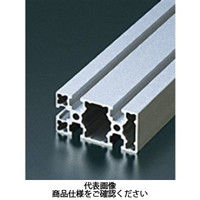 エヌアイシ・オートテック M6 ベーシックアルミフレーム 380mm AFSN-3060L-6-380（直送品）