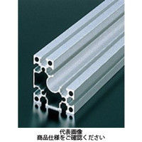 エヌアイシ・オートテック M6 ベーシックアルミフレーム 758mm AFSL-606030-6-758（直送品）