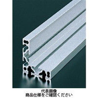 エヌアイシ・オートテック M6 ベーシックアルミフレーム 553mm AFSL-606015-6-553（直送品）