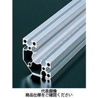 エヌアイシ・オートテック M6 ベーシックアルミフレーム 607mm AFSC-606030-6-607（直送品）