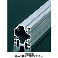 エヌアイシ・オートテック M6 ベーシックアルミフレーム 742mm AFSC-6060-6-742（直送品）