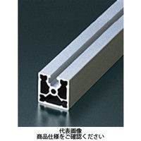 エヌアイシ・オートテック M6 ベーシックアルミフレーム 626mm AFSU-3030L-6-626（直送品）