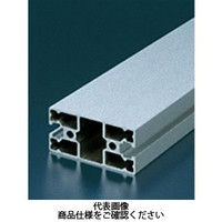 エヌアイシ・オートテック M6 ベーシックアルミフレーム 868mm AFSW-3060L-6-868（直送品）