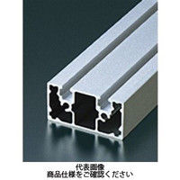 エヌアイシ・オートテック M6 ベーシックアルミフレーム 980mm AFSU-3060L-6-980（直送品）