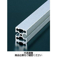 エヌアイシ・オートテック M6 ベーシックアルミフレーム 766mm AFSW-3030-6-766（直送品）