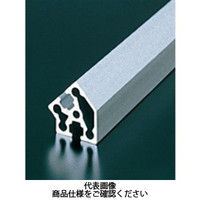 エヌアイシ・オートテック M6 ベーシックアルミフレーム 591mm AFSV-3045-6-591（直送品）