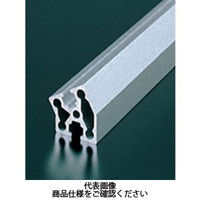 エヌアイシ・オートテック M6 ベーシックアルミフレーム 174mm AFSV-3030-6-174（直送品）