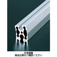 エヌアイシ・オートテック M6 ベーシックアルミフレーム 161mm AFSV-3015-6-161（直送品）