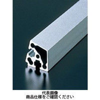 エヌアイシ・オートテック M6 ベーシックアルミフレーム 486mm AFSV-3075-6-486（直送品）